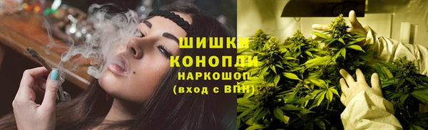 крисы Михайловск