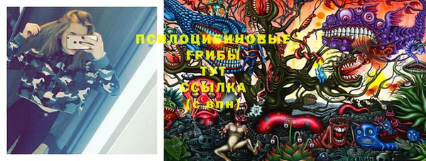 мдпв Михайловка