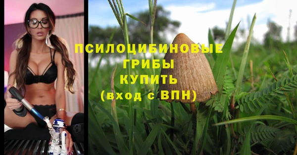 крисы Михайловск