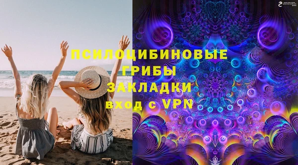 крисы Михайловск